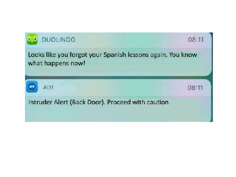 Looks like you missed your spanish lessons today!