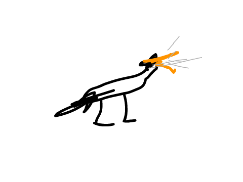 krakio