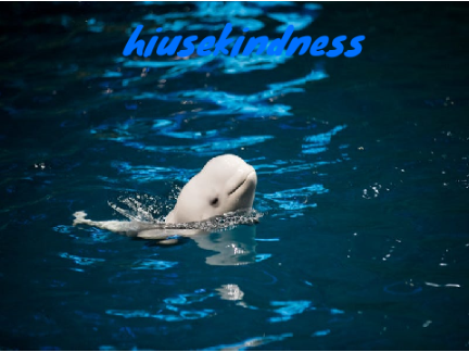 Remix & sign ur username if u want to save the whales