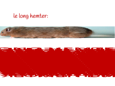 lOng hemter