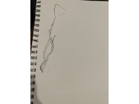 30th Entry :) KidDerp