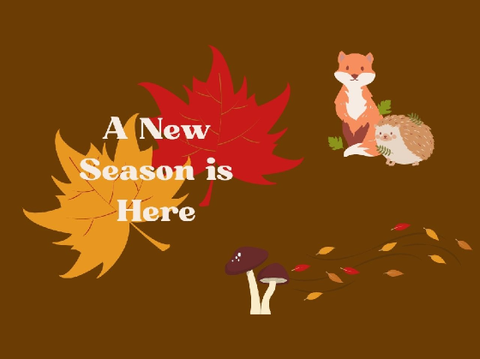 It's Autumn Today!