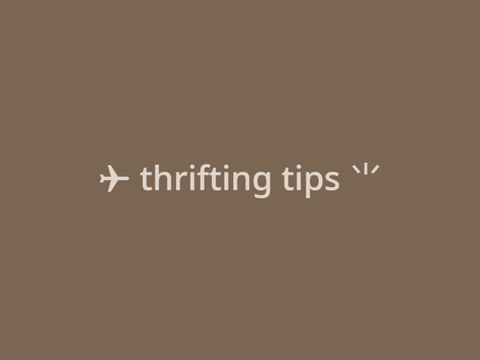 ✈ thrifting tips ⺌