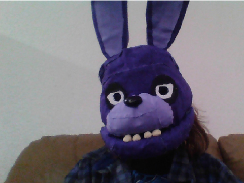 guys look at my Bonnie cosplay head-