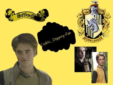 Cedric Diggory/Hufflepuff banner