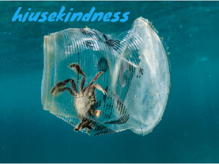 Remix & add ur username #stopthepollution