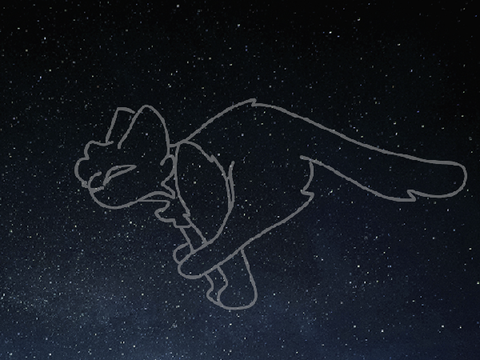 Running Through The Stars - Cat Run Cycle