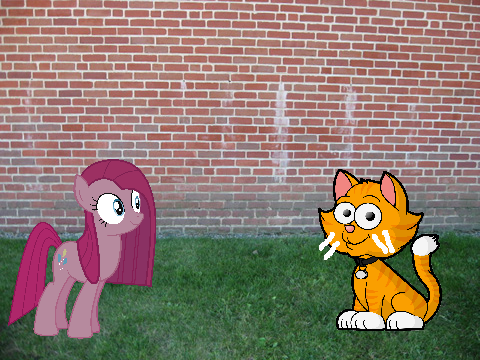mlp: tornado episode 14: warrior cat