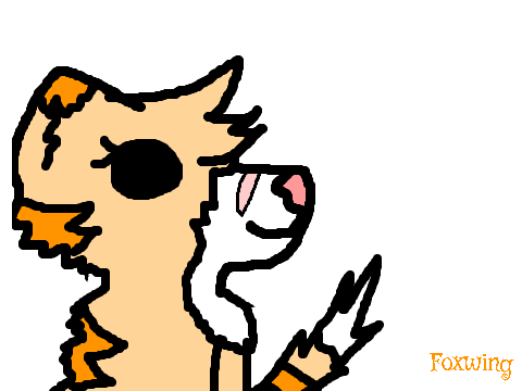 Warriors OC