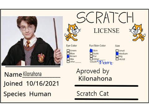Make Your Own Scratch License remix-2