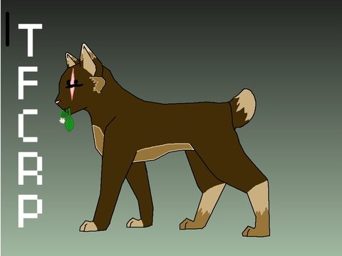 OTA TFCRP Cat Designs - Read Description