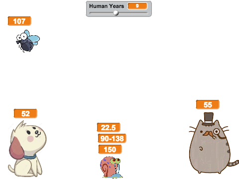 Human years 2 animal years