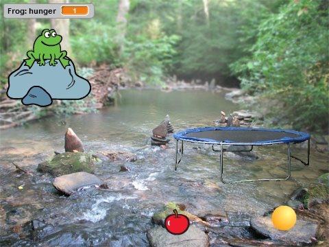 Pet Frog!