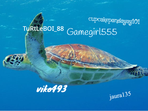 Remix and sign to save the Sea Turtles! remix