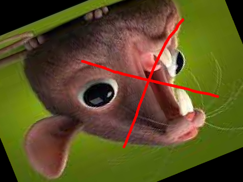 we dont talk about rats 