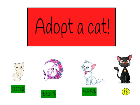 Adopt a cat