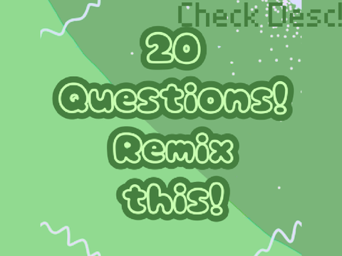 20 Questions Answered!