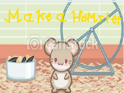 make a hamster