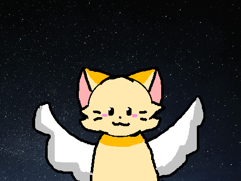 my entry-cat