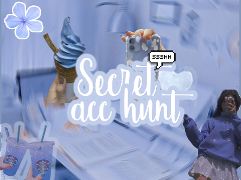 100+ Secret acc hunt OPEN