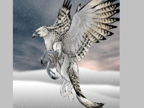 Astraeus