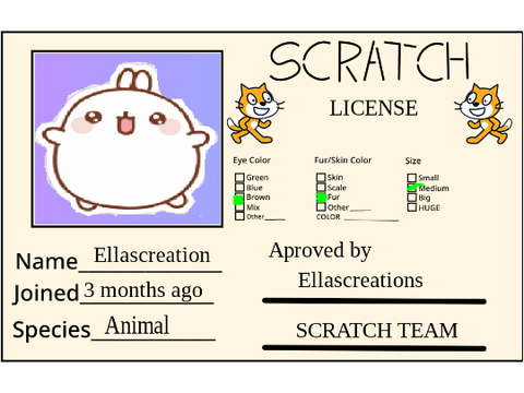 MY SCRATCH LICENCE 