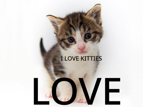 Remix if you love cats! 