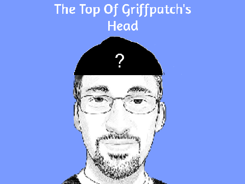 The Top of griffpatch's Head