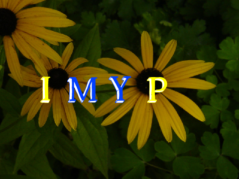 imyP's Capital Cities Quiz 