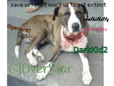 sign if you hate animal cruelty remix remix remix remix remix