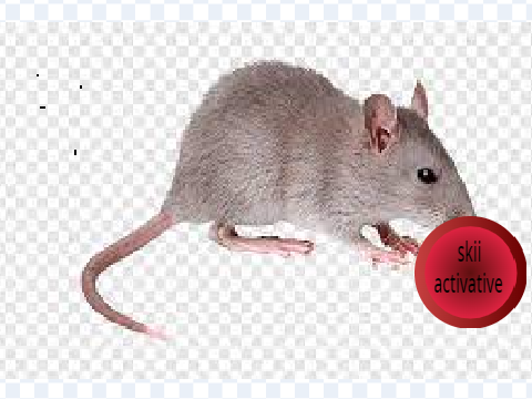 1 Shift At Rat Teeth