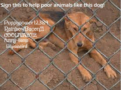 Sign this if you want to help animals in animal shelters! remix