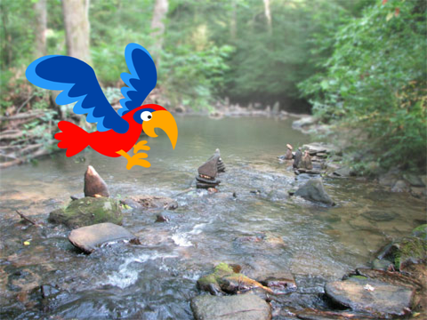 Flying Bird