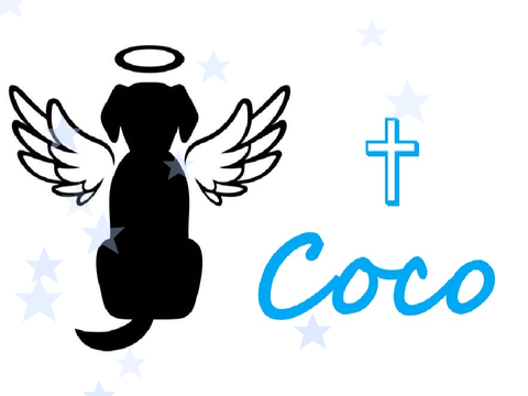 ♡Coco♡