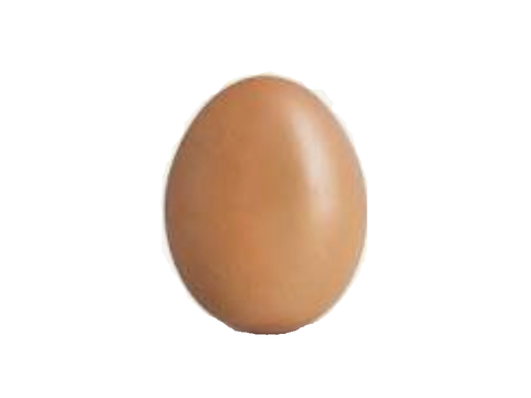 Egg opener (Template)