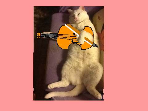 Cat For The Fiddle
