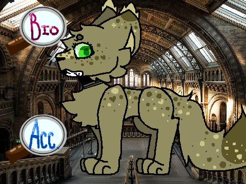 °.+ jade bio +.°