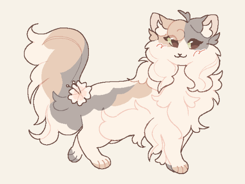 ♡ Softstorm reference - 2022