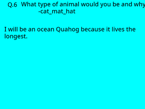 Q&A- Answers to your questions
