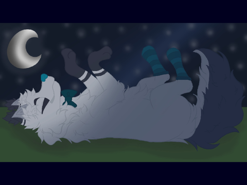 ~ a sky full of stars ~