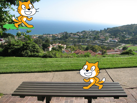 talk cat YOU!!!