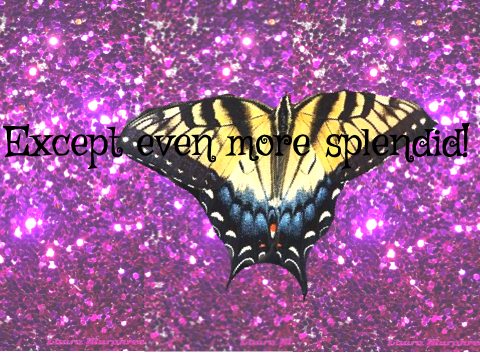 Example of the Butterfly