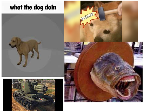 Idk at this point lmao 