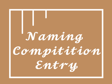 ✧Naming Competition ꒰ Entry