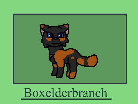 Wispclan RP Refs + Thumbnail