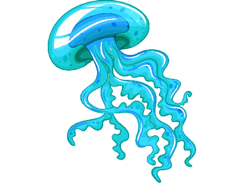 talk to jellyfish