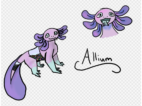 Allium - Original Character
