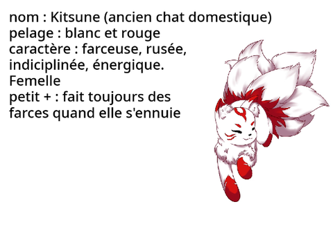 fiche de présentation clan de la nuit