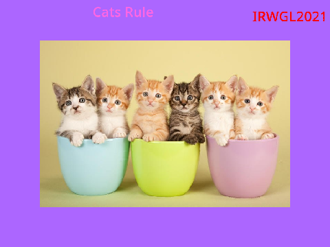 Sign in if you love cats/Kittens!