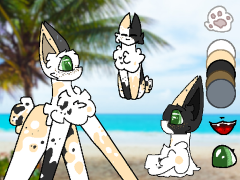 Palmwave OC Reference